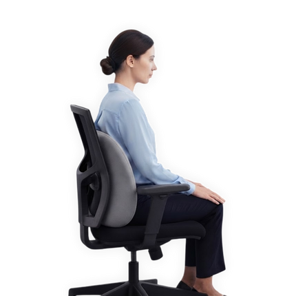Adore Lumbo Back Rest for Lumbar Support, Posture Improvement & Musculoskeletal Relief | AD-729
